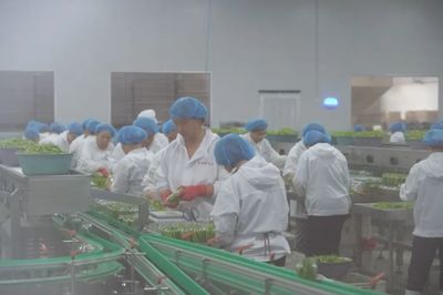 數(shù)字經(jīng)濟(jì)浪潮下的食品互聯(lián)網(wǎng)銷(xiāo)售 中國(guó)人民大學(xué)應(yīng)用經(jīng)濟(jì)學(xué)院的學(xué)術(shù)洞察與實(shí)踐路徑